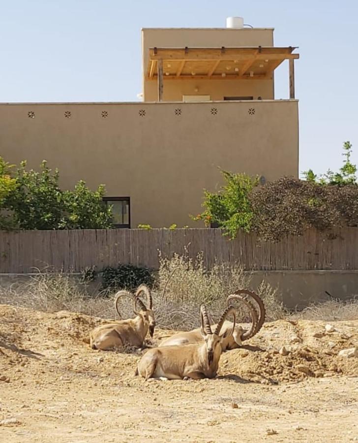 Midreshet Ben Gurionצמח ברアパートメント エクステリア 写真